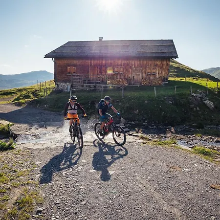 Haus Mellenbach * Mellau