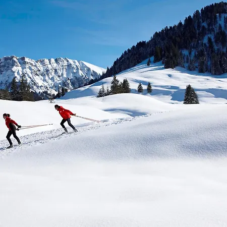 Apartamento Haus Mellenbach