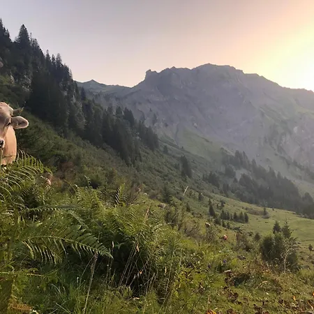 Haus Mellenbach Apartman Mellau